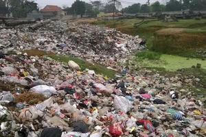 Nghệ An: Kinh hoàng "nghĩa địa rác"