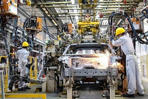 Hãng xe nhập khẩu lên tiếng vì đề xuất giảm 50% phí trước bạ xe lắp ráp