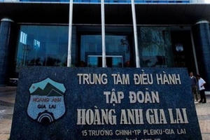 Giảm lãi 51 tỷ đồng sau kiểm toán, HAG bị nghi ngờ khả năng hoạt động liên tục