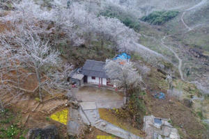 Hình ảnh Sa Pa chìm trong băng giá ngày cận Tết