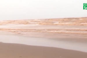 Thông tin mới nhất về cơn bão số 4