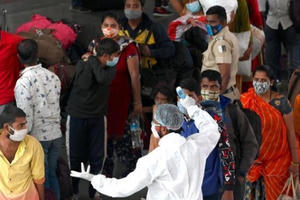 Bí mật sự giảm đột ngột số ca nhiễm Covid-19 tại Ấn Độ