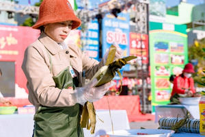 Ngày hội “Bánh Chưng Vân - Tết sum vầy” lan tỏa tinh thần đoàn kết, tương thân tương ái