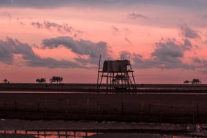 Sửng sốt vẻ đẹp bãi ngao cửa Nẹ