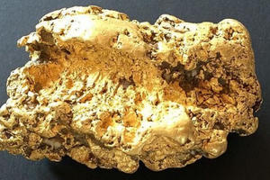 Thức trắng 3 đêm không ngủ vì đào được cục vàng nặng 2 kg