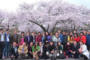 Khi đi nước ngoài, nên làm gì để tránh rắc rối liên quan đến pháp luật?