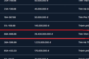 Biển số 88A-666.66 trúng đấu giá với số tiền hàng chục tỷ đồng