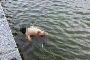 Hà Nam: Bàng hoàng phát hiện thi thể cụ bà nổi lập lờ trên sông