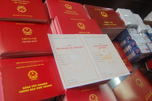 Cách hết chức vụ, buộc thôi việc 2 cán bộ dùng bằng giả