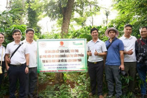 "Tri thức trồng và chế biến cà phê của Đắk Lắk” là di sản văn hóa phi vật thể quốc gia