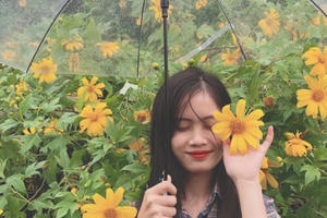 Ba Vì – Điểm hẹn của mây, trời và hoa