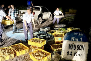 Lạng Sơn: Bắt giữ liên tiếp 2 vụ buôn bán, vận chuyển gia cầm nhập lậu Lạng Sơn: Bắt giữ liên tiếp 2 vụ buôn bán, vận chuyển gia cầm nhập lậu