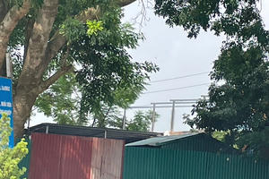 UBND tỉnh Phú Thọ chỉ đạo xử lý nghiêm vụ người dân cố tình xây nhà tại dự án Khu đô thị mới Hùng Vương – Tiền Châu