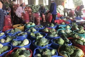 “Chung sức cùng người dân tiêu thụ nông sản”