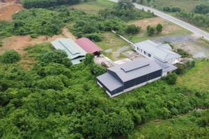 Công ty Cổ phần Đầu tư và Phát triển bò Mông Việt Nam “lừng khừng” việc khắc phục sai phạm