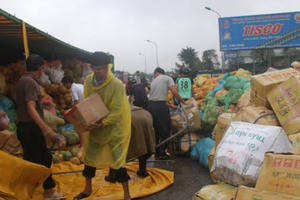Hành động đẹp: Xe tải bị lật, người dân đổ xô thu gom 30 tấn dừa hộ tài xế