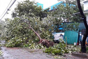 Bão số 2 về và bài thơ làm nhói lòng dân mạng