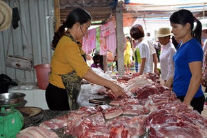 Lợn hơi tăng giá - người chăn nuôi nên thận trọng