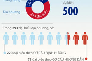 Quy trình bầu cử đại biểu Quốc hội khóa XV
