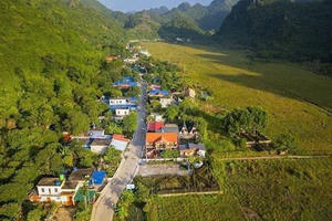 Sống chậm ở làng chài cổ bên vịnh Lan Hạ