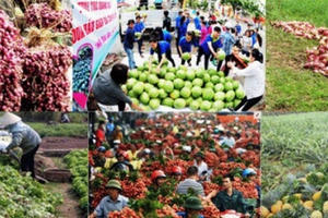 Những “món nợ” với cử tri