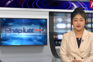 Sáng 20/4: Nhiều nghệ sĩ bị mượn danh ở hội chợ; Truy tố 54 bị can trong vụ "chuyến bay giải cứu"