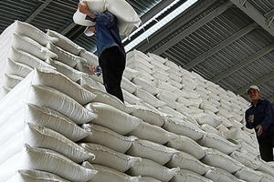 Xuất cấp hơn 484 tấn gạo cho tỉnh Hà Giang