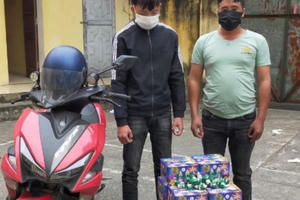 Mua pháo lậu trên mạng, 2 đối tượng nhận án tù