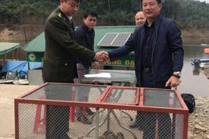 Hà Tĩnh: Thả 5 cá thể trăn gấm quý hiếm trở về rừng