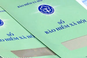 Đề nghị xử lý hình sự 302 doanh nghiệp