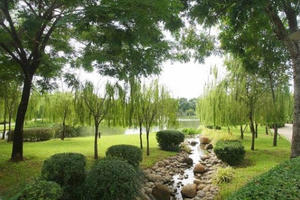 Địa ốc 7AM: Khu nghỉ dưỡng 'chui' trong rừng phòng hộ, không có đất bị thu hồi nhưng vẫn được tái định cư?