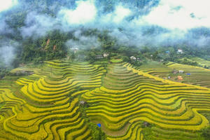 Sắp diễn ra tuần Văn hóa du lịch ruộng bậc thang Hoàng Su Phì