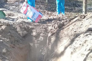 Tiêu hủy gần 1.000 con heo vì dịch lở mồm long móng Tiêu hủy gần 1.000 con heo vì dịch lở mồm long móng