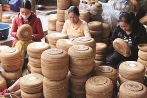 Nhiều chính sách phát triển ngành nghề nông thôn