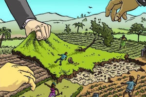 Lấn chiếm hơn 26.000m2 đất, Công ty CP Đầu tư Phát triển Đức Trí bị xử phạt