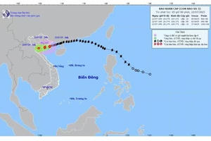 Dự báo chi tiết hướng đi của tâm bão Wipha khi đổ bộ vào đất liền
