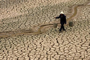 Vẫn là sự vô cảm