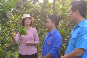 Thiết thực các hoạt động khích lệ người trẻ Bình Phước trong tháng Thanh niên Thiết thực các hoạt động khích lệ người trẻ Bình Phước trong tháng Thanh niên