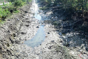 Hạn nứt đất, nước mặn như muối, khắp miền Tây 'ngồi trên đống lửa'