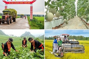 Triển khai Nghị quyết của Quốc hội về cơ chế đặc thù thực hiện các chương trình mục tiêu quốc gia