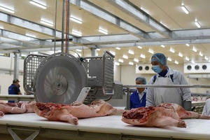 Masan ngừng bán thịt mát do dịch tả lợn Châu Phi gần khu chế biến