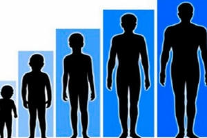 Chiều cao người Việt đứng thứ 4 Đông Nam Á