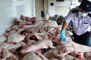 An toàn thực phẩm cứ đến Tết là…lo!