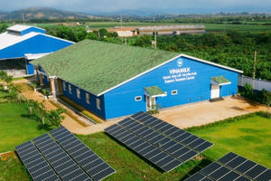 Hệ thống trang trại Vinamilk tăng trưởng ấn tượng