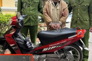 Nghệ An: Bắt giữ đối tượng cướp giật sau 1 giờ gây án