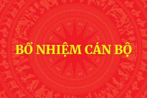 Ông Trịnh Mạnh Linh được bổ nhiệm giữ chức Phó Chủ nhiệm Văn phòng Chính phủ