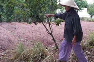 Thừa Thiên – Huế: Dân phản ứng dữ dội vì giá đất đền bù "bèo bọt"