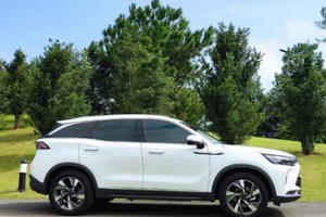 Chuyện chưa từng có, ô tô Tàu về Việt Nam cháy hàng