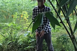 Lộ diện danh tính nam thanh niên 21 tuổi hàng chục lần hiếp dâm hai bé gái 8 và 9 tuổi tại Bình Định