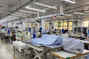 Bức tranh toàn cảnh về nhân lực ở Việt Nam: Nhiều điểm tích cực Bức tranh toàn cảnh về nhân lực ở Việt Nam: Nhiều điểm tích cực